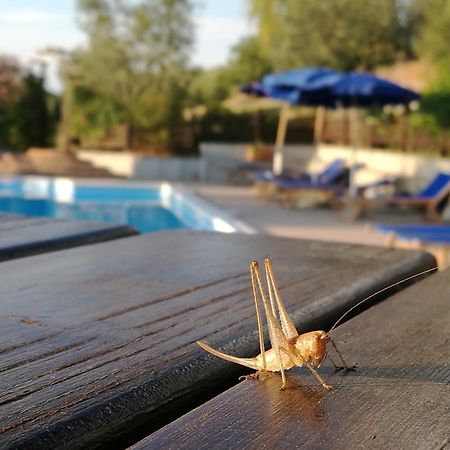 Agriturismo Cornieto Monteleone dʼOrvieto المظهر الخارجي الصورة
