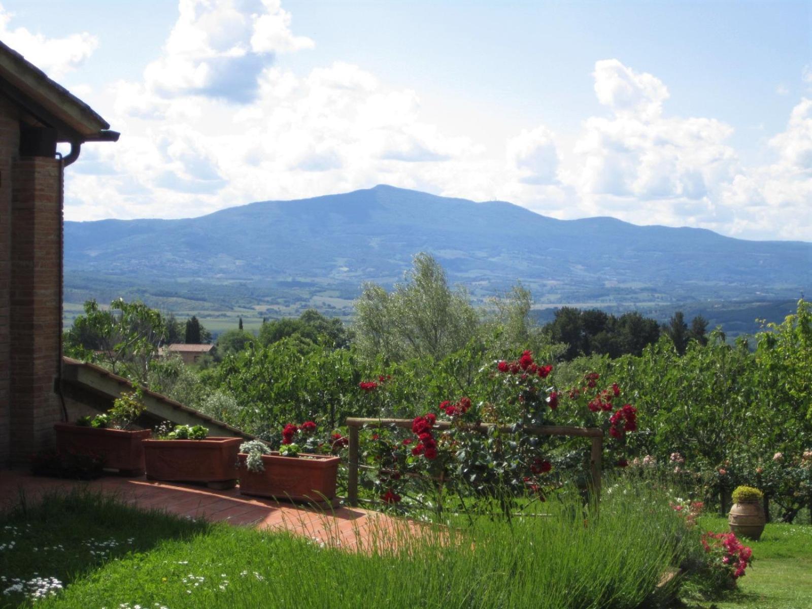 Agriturismo Cornieto Monteleone dʼOrvieto المظهر الخارجي الصورة
