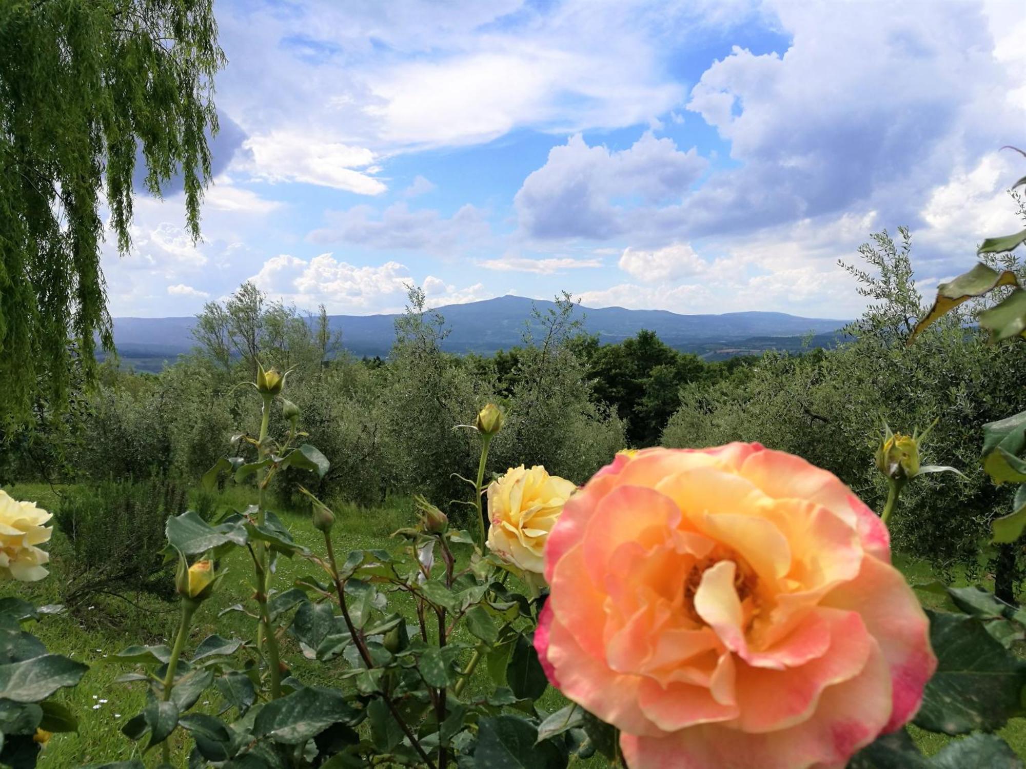Agriturismo Cornieto Monteleone dʼOrvieto المظهر الخارجي الصورة