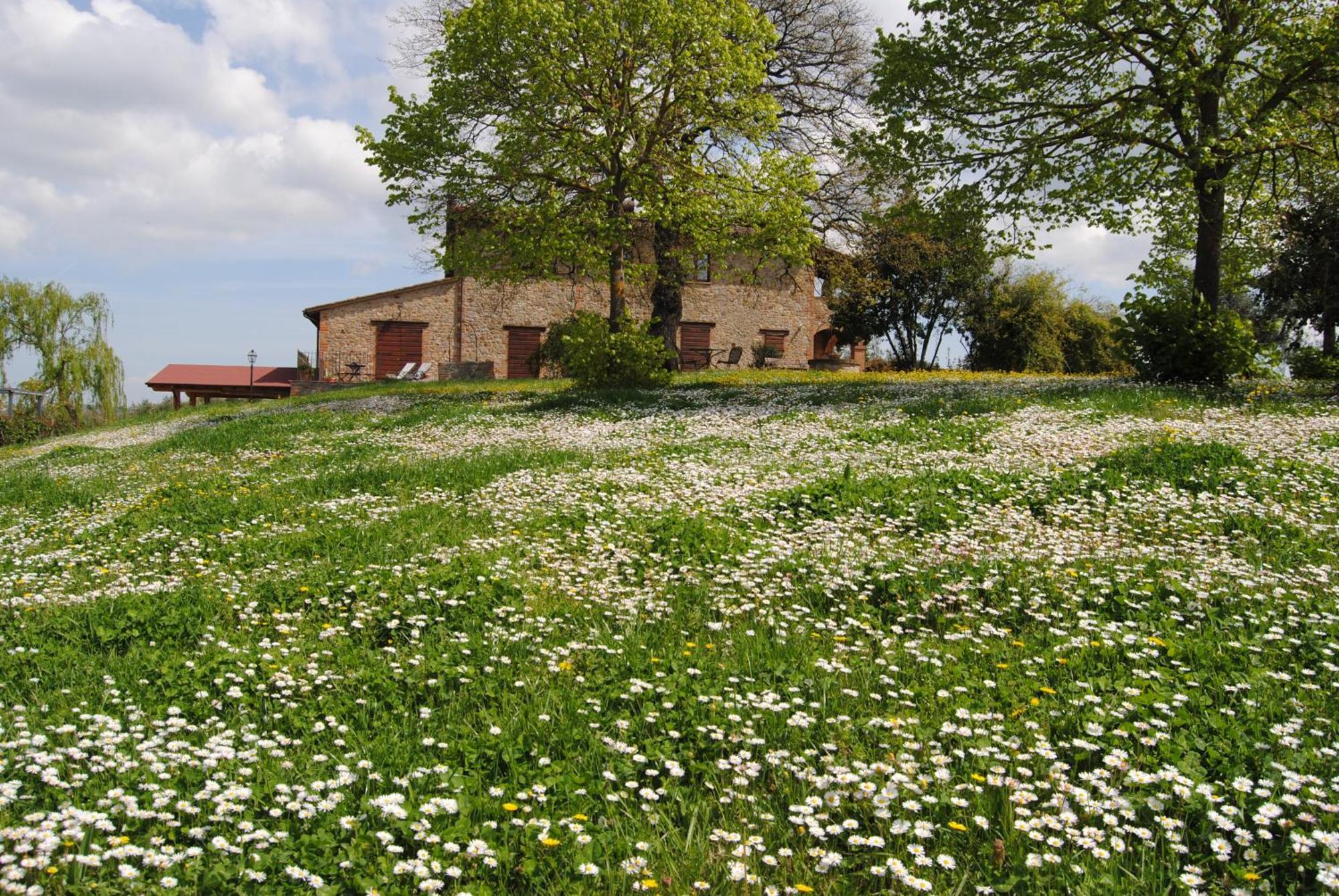 Agriturismo Cornieto Monteleone dʼOrvieto المظهر الخارجي الصورة