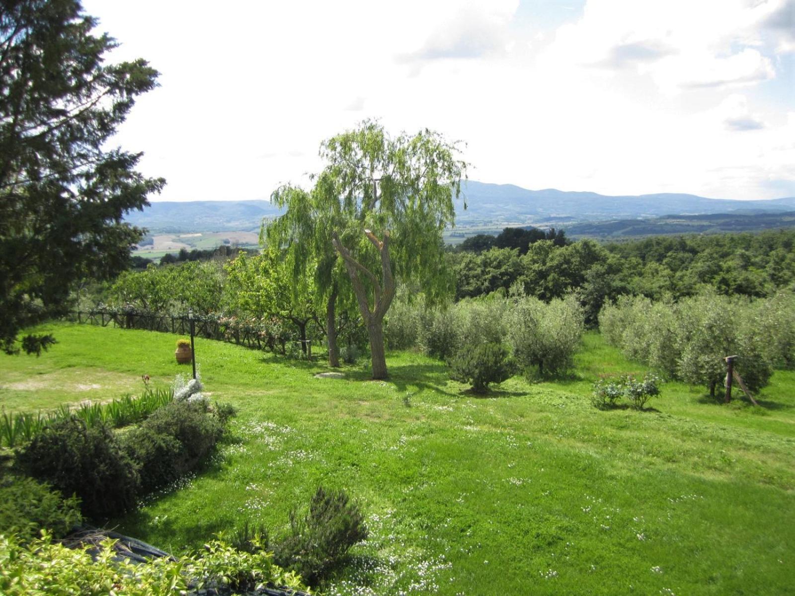 Agriturismo Cornieto Monteleone dʼOrvieto المظهر الخارجي الصورة