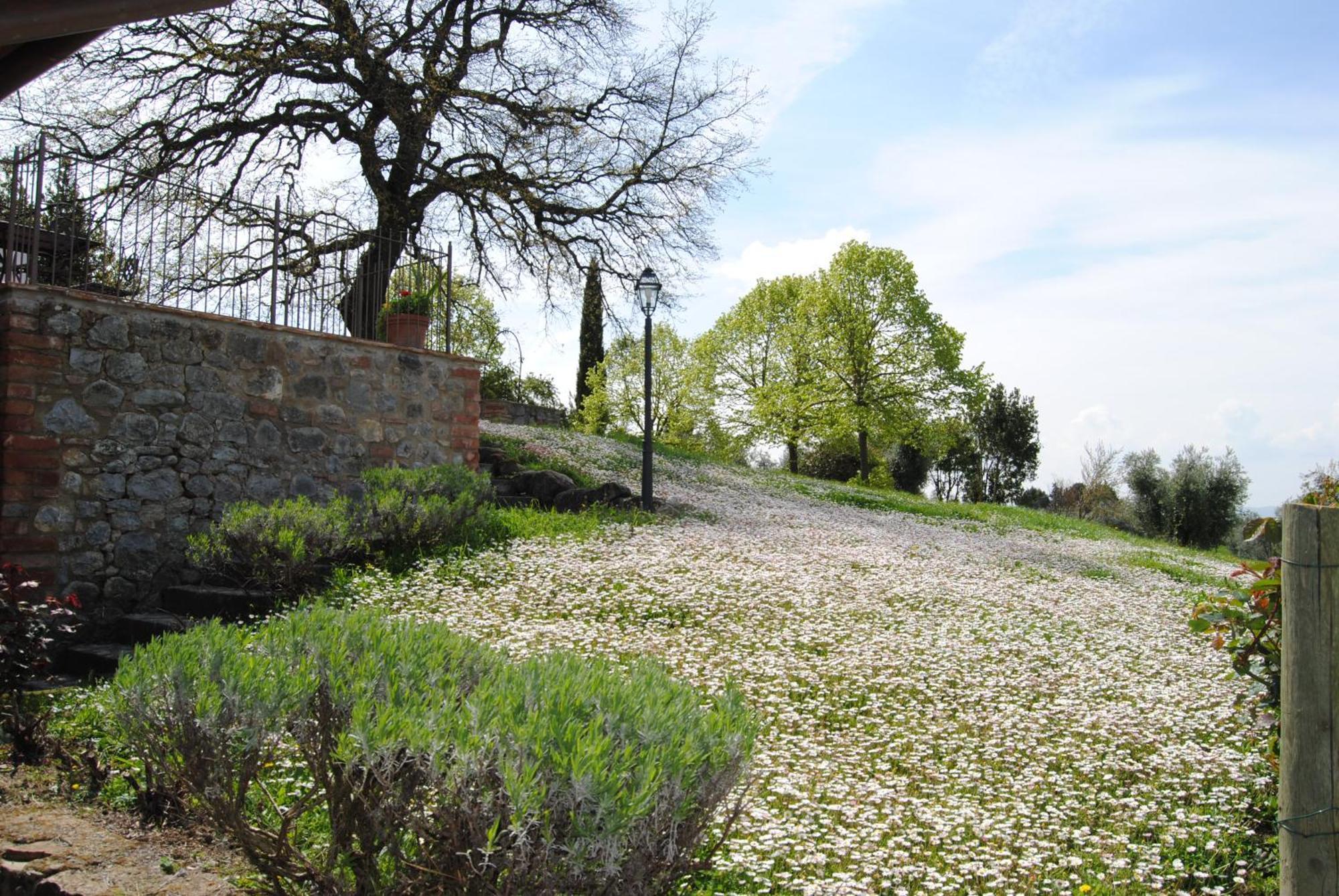 Agriturismo Cornieto Monteleone dʼOrvieto المظهر الخارجي الصورة